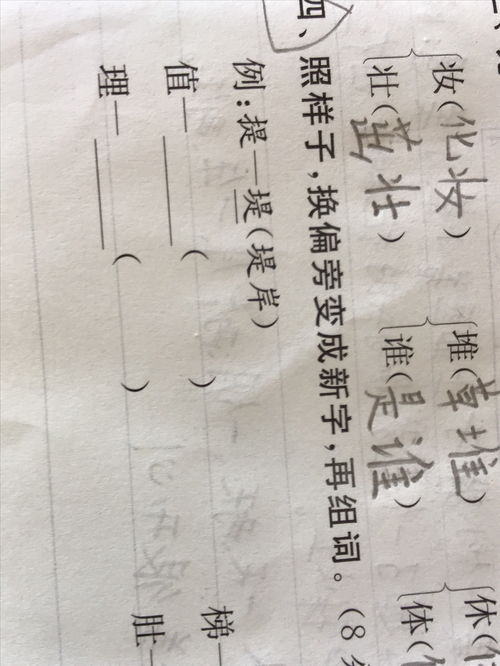 重新组词(重新组词理解字义)