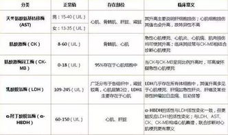 叮组词语(叮组词语和拼音)