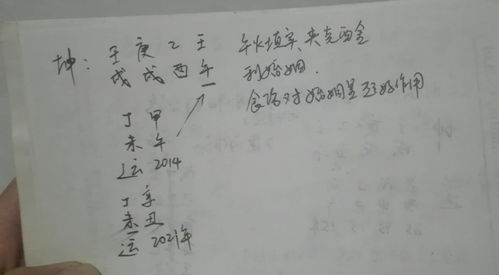 冲组词(壮组词)