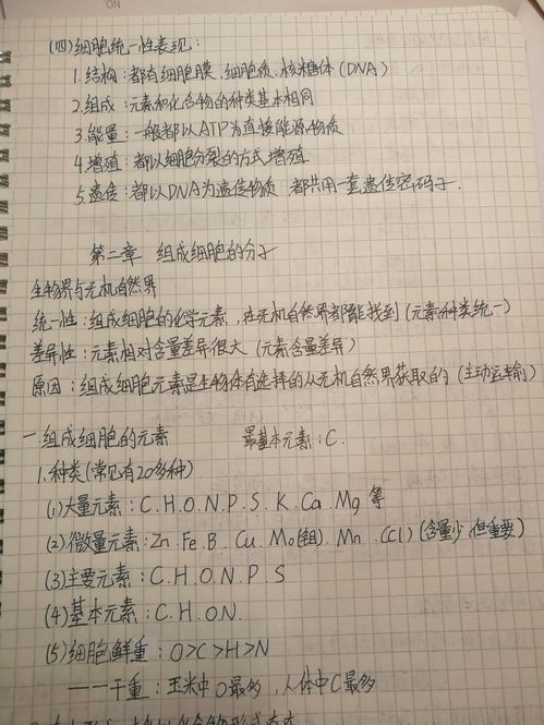 蛛字组词(蛛字组词三年级上册)