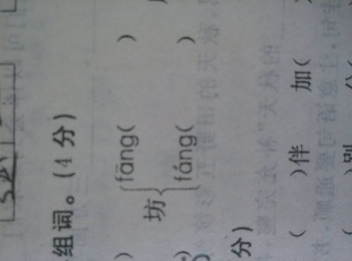 晓组词(晓字组词)