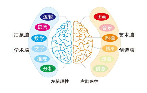 眠组词有哪些(眠组词有哪些呢)