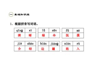 抚组词语(抚组词和读音)