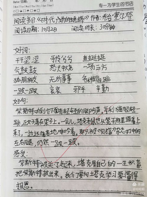 蟋蟀组词(蟋蟀组词的蟋组词)