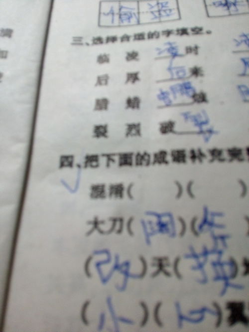 河字的组词(河字的组词是什么)