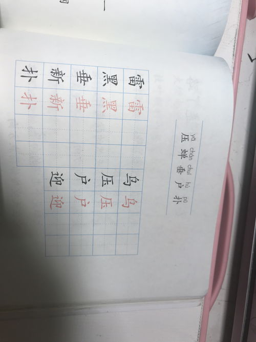 冲字的组词(冲字的组词和部首)