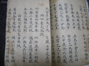 贵字组词(跪字组词)