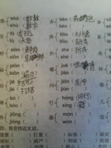 盆组词(盆组词语2个字)