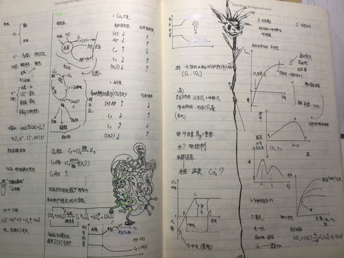 惯的组词(惯的组词和部首)