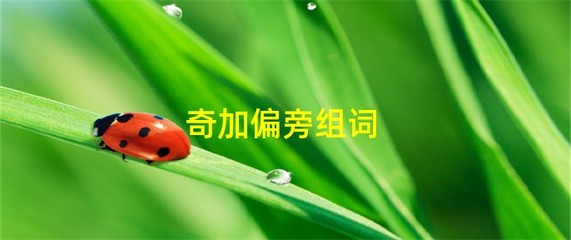 奇加偏旁再组词(奇加偏旁组词组字)