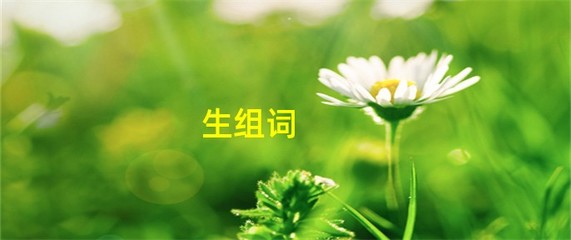 煤炭的煤组词(煤炭的煤组词拼音)