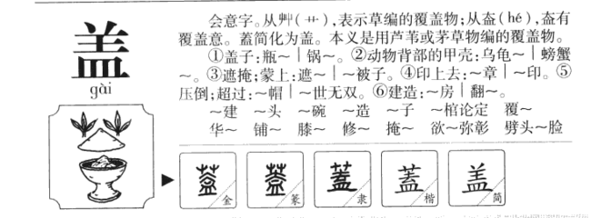 态字组词(态字组词和部首)