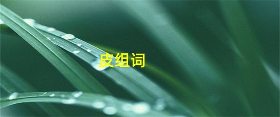 皮组词(皮组词二个字)