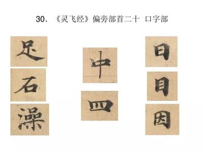 因字加偏旁组词(因加偏旁组字再组词)