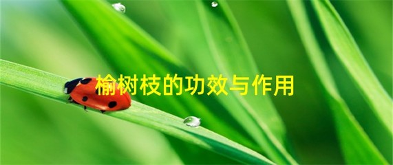 榆组词(榆组词组)