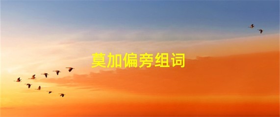 模组词(模组词 多音字)