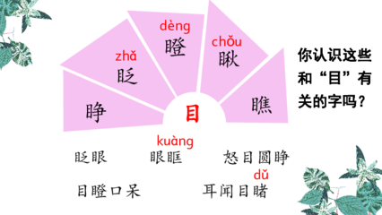 眨字组词(睑字组词)