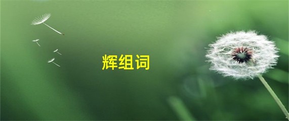 辉字怎么组词(辉字怎么组词是什么)