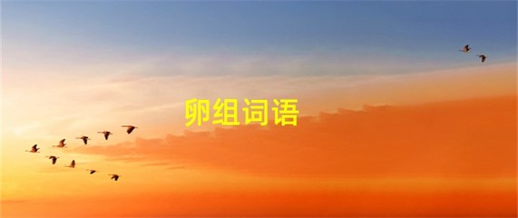 卵怎么组词语(卵怎么组词两个字)