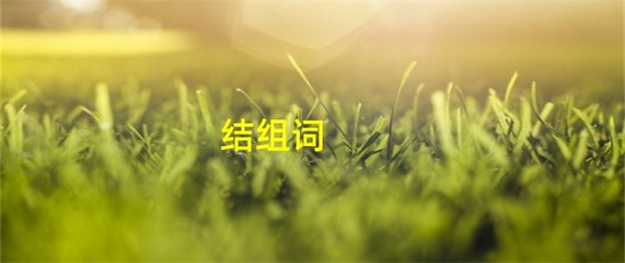 结组词(结组词多音组词)