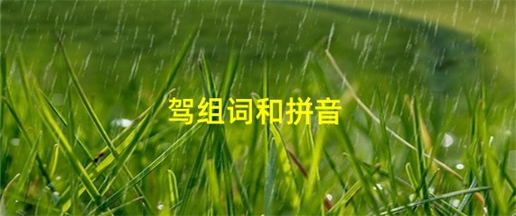 驾组词有哪些(驾组词有哪些两个字)