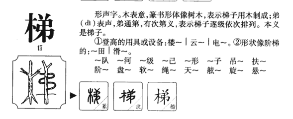 梯的拼音和组词(梯的拼音和组词组词)