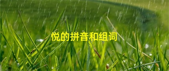 悦的组词(悦的组词语)