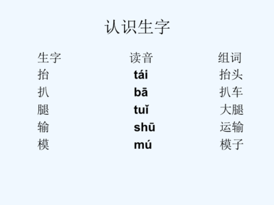 抹读音组词(抹字读音组词)