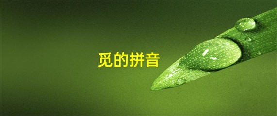 觅的拼音和组词(觅的拼音组词部首偏旁)