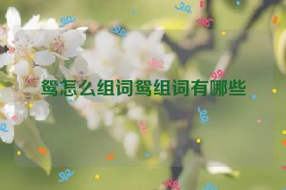 组词驾(组词驾驶的驶)