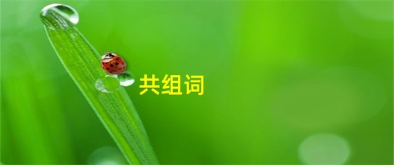 共组词(恭组词)