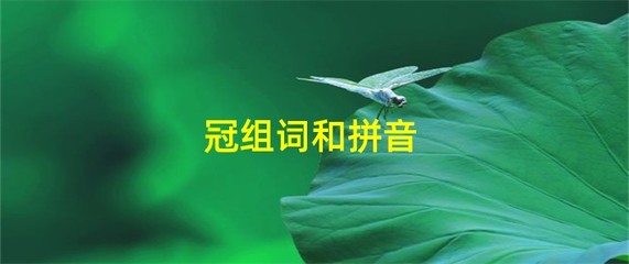 冠组词有哪些(冠组词guan)