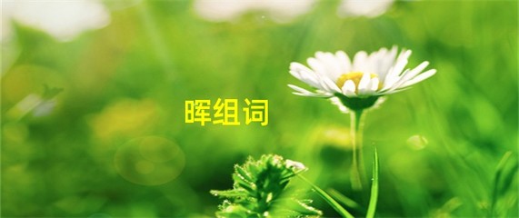 晖字怎么组词(晖字怎么组词和拼音)