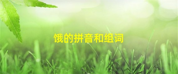 饿的组词和拼音(饿的组词和拼音是什么)