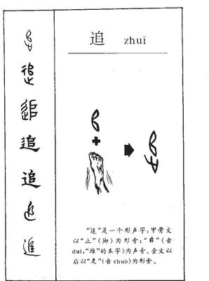 追字组词(追字组词和部首是什么)