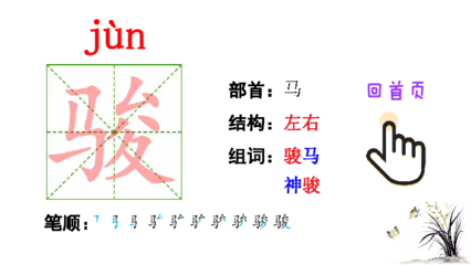 驴组词和部首(驴组词和部首结构是什么)