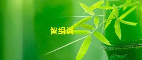 智组词是什么(慧组词)