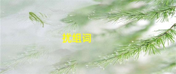 扰字怎么组词(叨扰怎么组词)