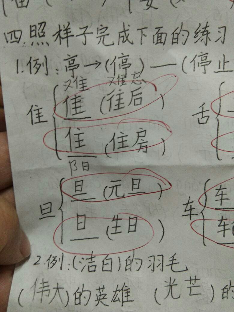 杏偏旁组词(杏字偏旁部首)