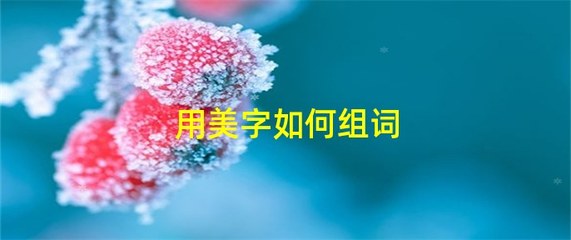 美字的组词(美字的组词大全)