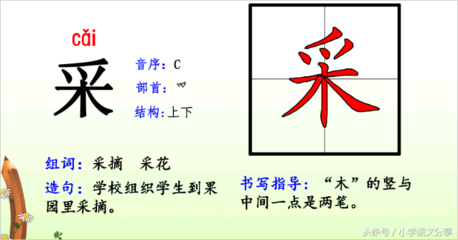 池组词有哪些(池的组词有哪些呢)