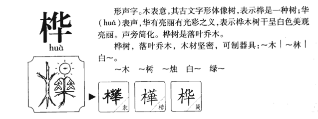 桦字组词(桦字组词怎么组)