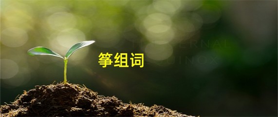 筝组词(筝组词二年级)