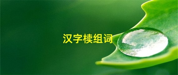 模组词(摩组词)