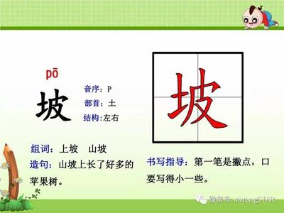 po怎么组词(颇怎么组词两个字)