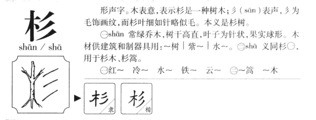 杉字组词(杉字组词二年级上册语文)