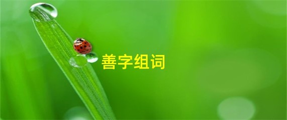 乏字组词(乏字组词和部首)