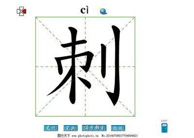 木字旁组词(木字旁组词的公司名称)