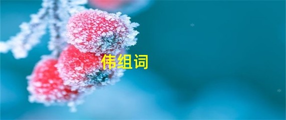 伟的组词是(伟的组词)