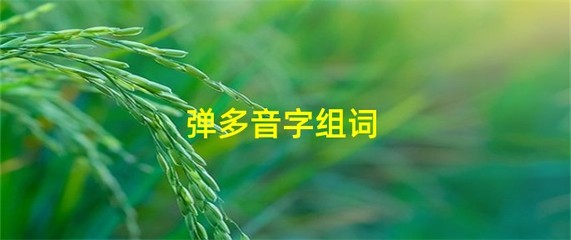 弹字的多音字组词(弹字 多音字组词)